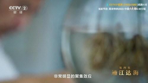 v3tv手机版下载,v3tv,电视直播